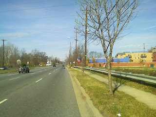 vultures not far from FedEx Field