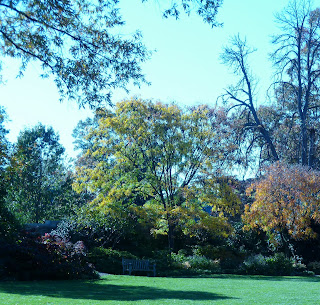 open garden area