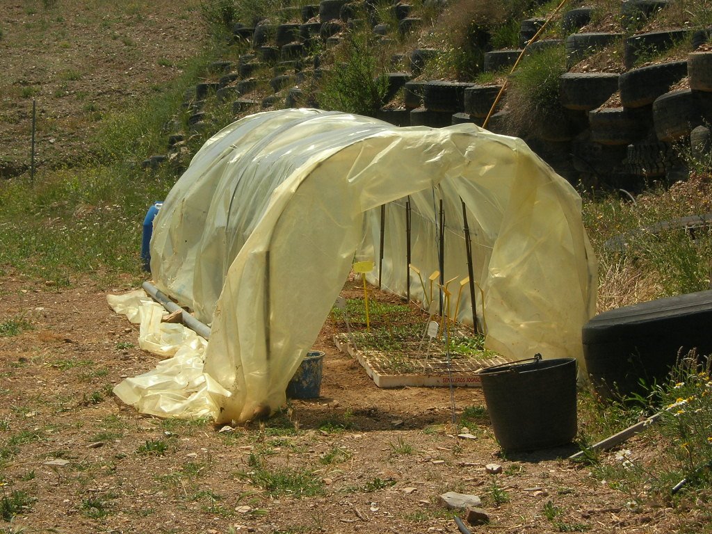 [DSCN4897.JPG]