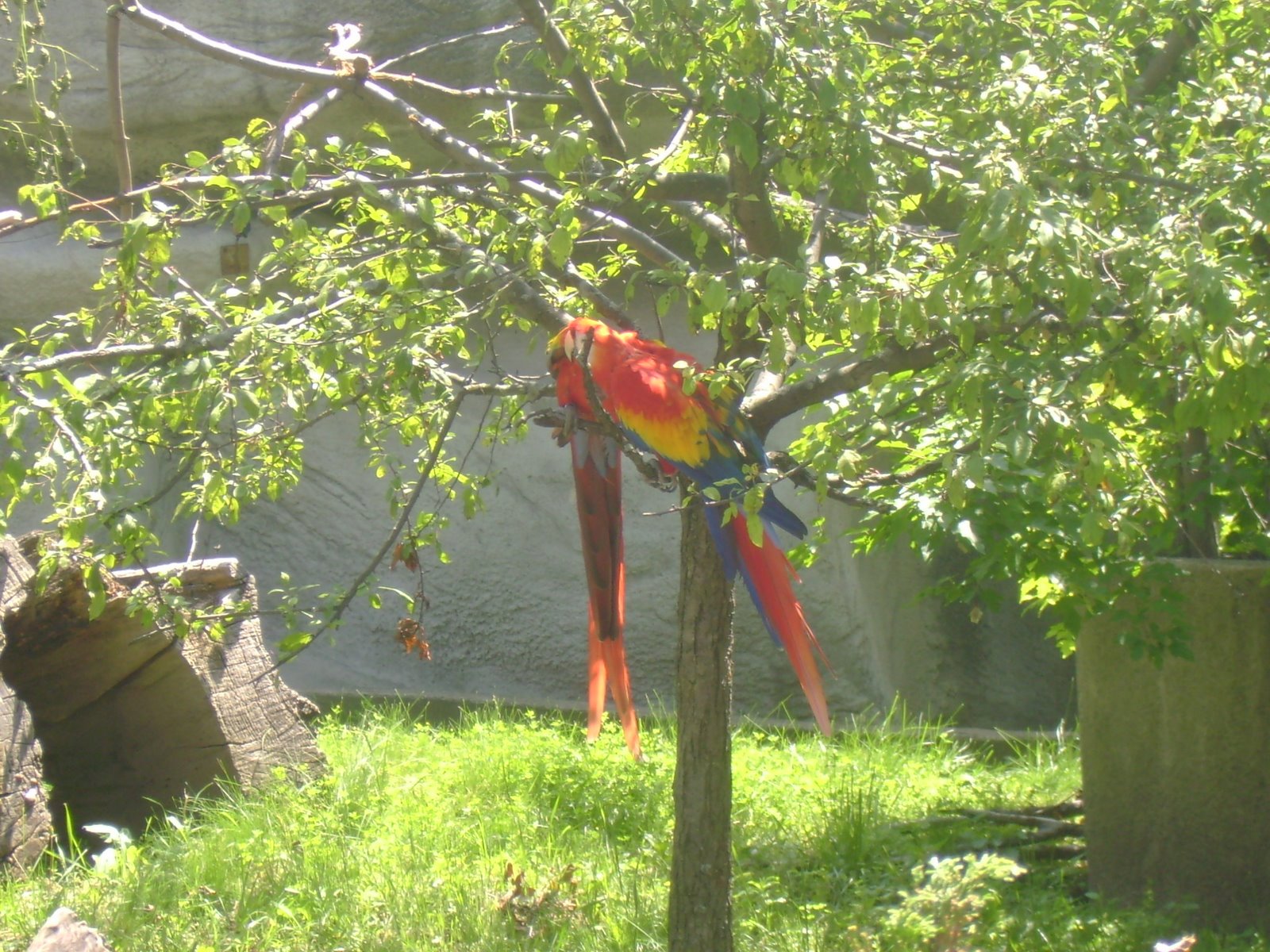 [DSC02599.JPG]