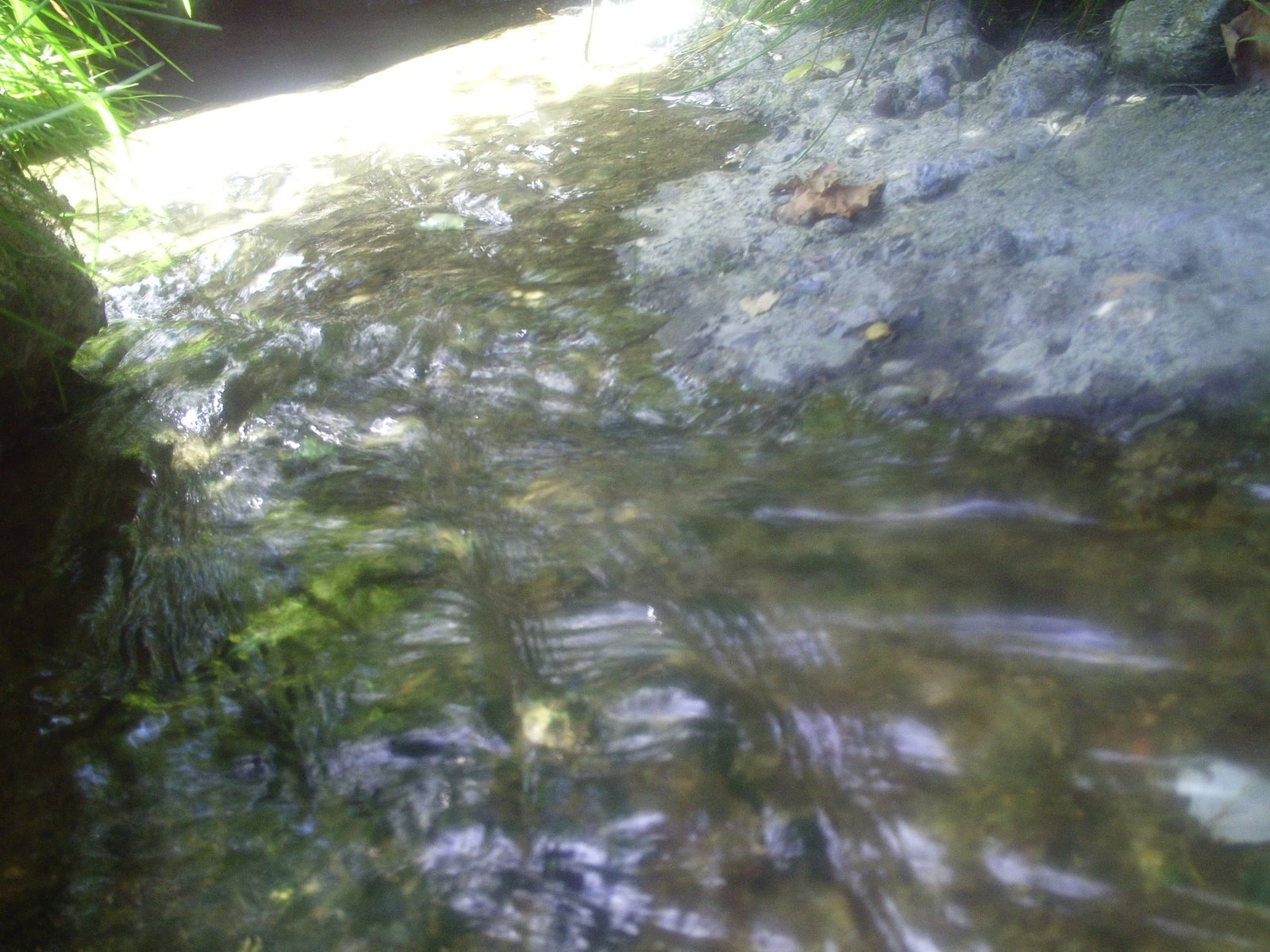 [PICT0018.JPG]