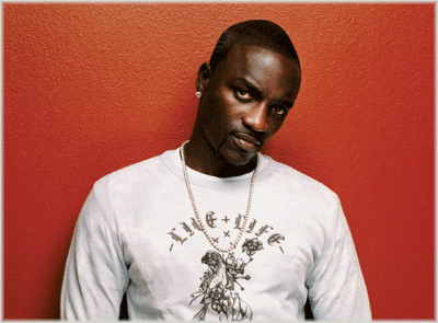 Akon Pleads Guilty In Fan-Tossing Case