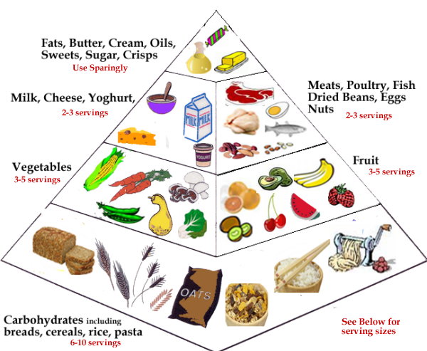 Five Main Food Groups Chart