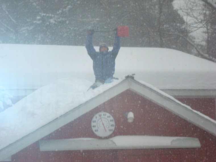My Daddy was on Grandpa's roof clearing the 8 feet of snow that kept coming down!!