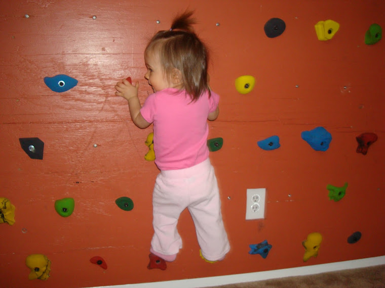 Daddy taught me to climb our wall!! I'm getting good!