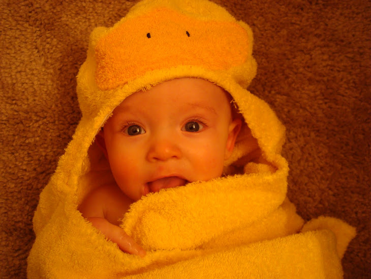 All cuddly after his first bath in Carl the Duck