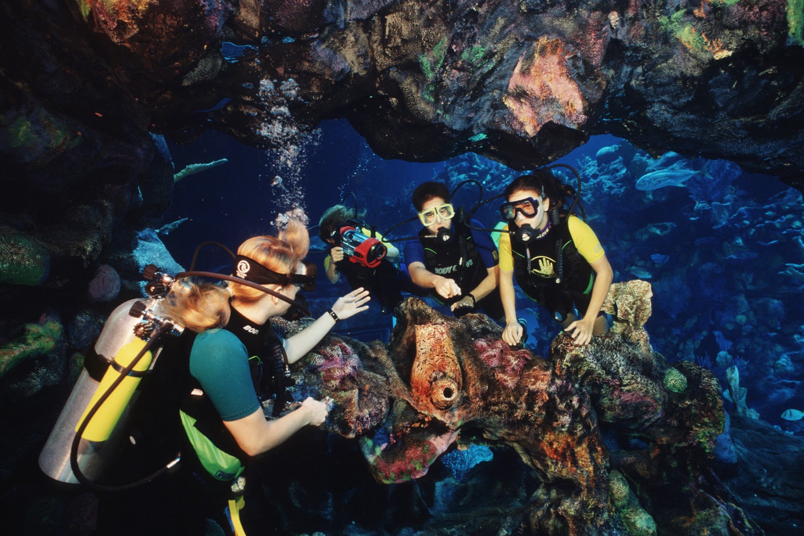 Tours no Epcot Parques e Ingressos