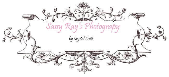 Sassy Ray's Photography