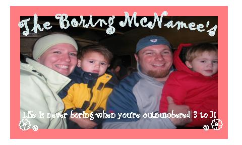 The Boring McNamee\