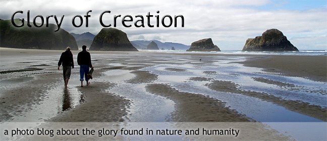 Glory of Creation