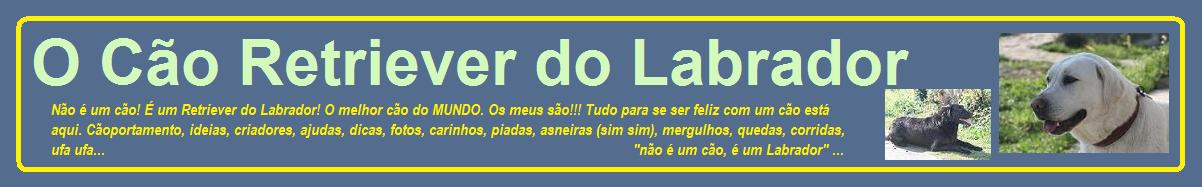 Retriever do Labrador