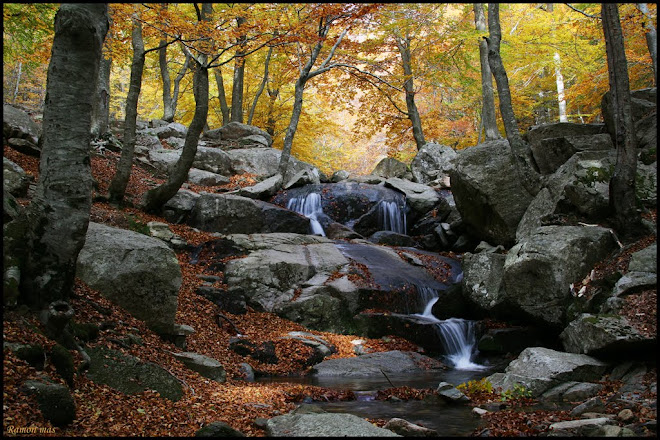 ENCANTS DEL MONTSENY