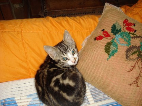 [DSC00363-753499.JPG]