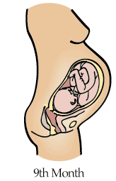 [9thMonth.gif]