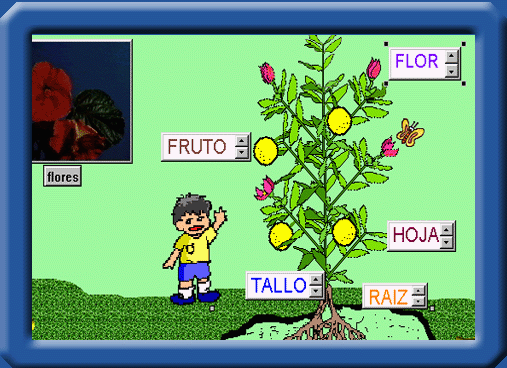 LA PARTE DE LA PLANTA la parte de la planta: