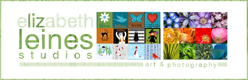 Liz Leines Studios