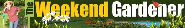 [WeekendGardener_header.gif]