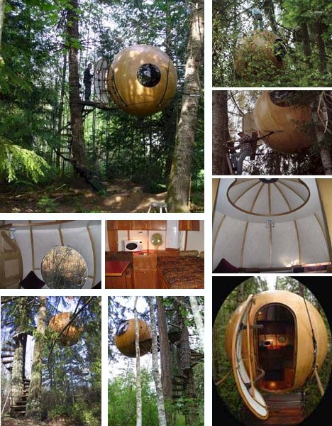 [creative-and-unique-spherical-tree-house-design.jpg]