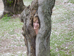 Inside a tree