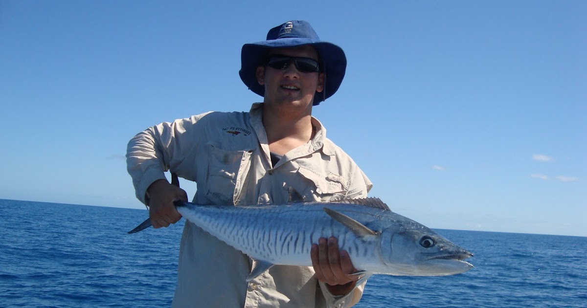 Spanish Fly! Fishing Townsville