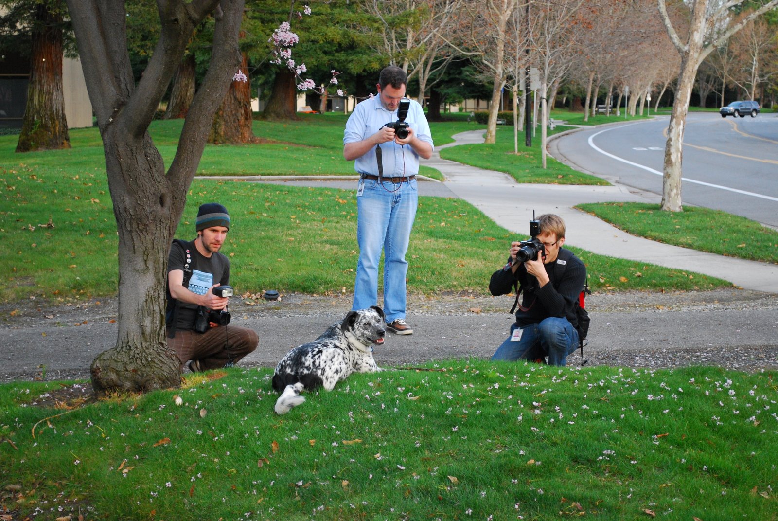 [dog_and_photographers.JPG]