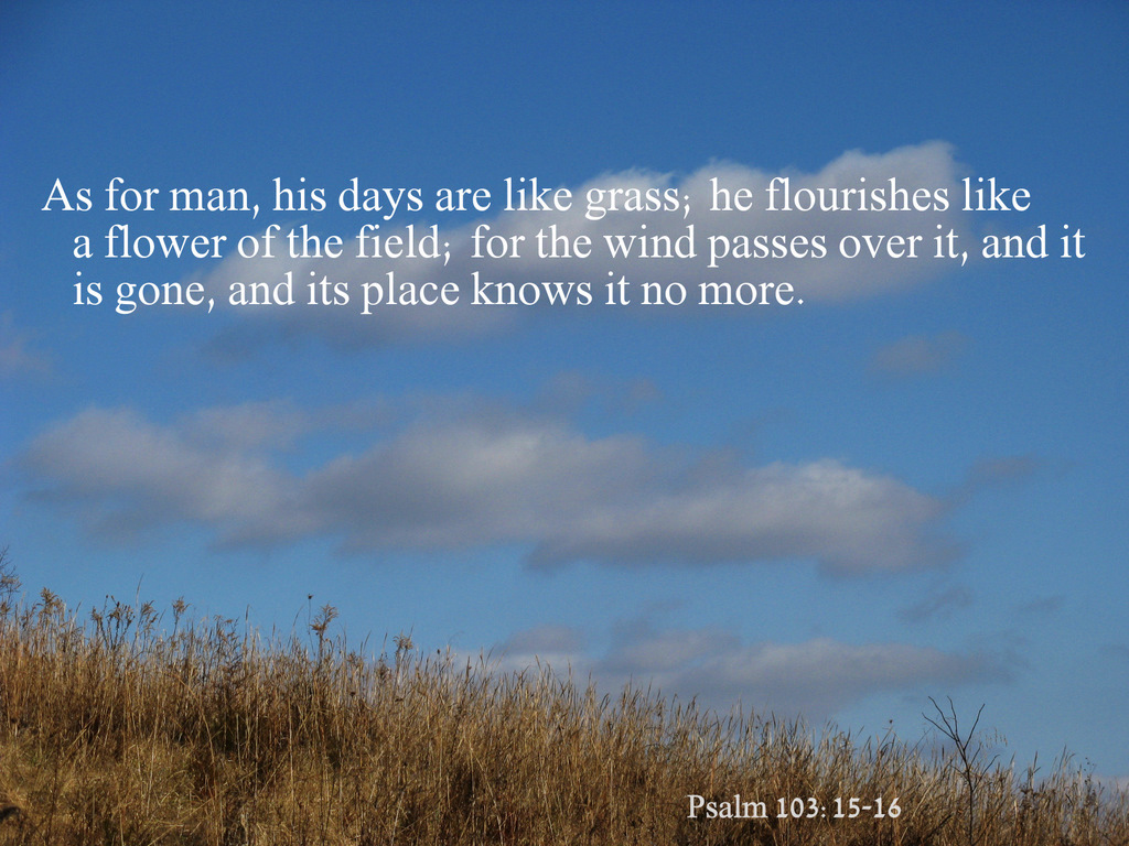 psalm 103