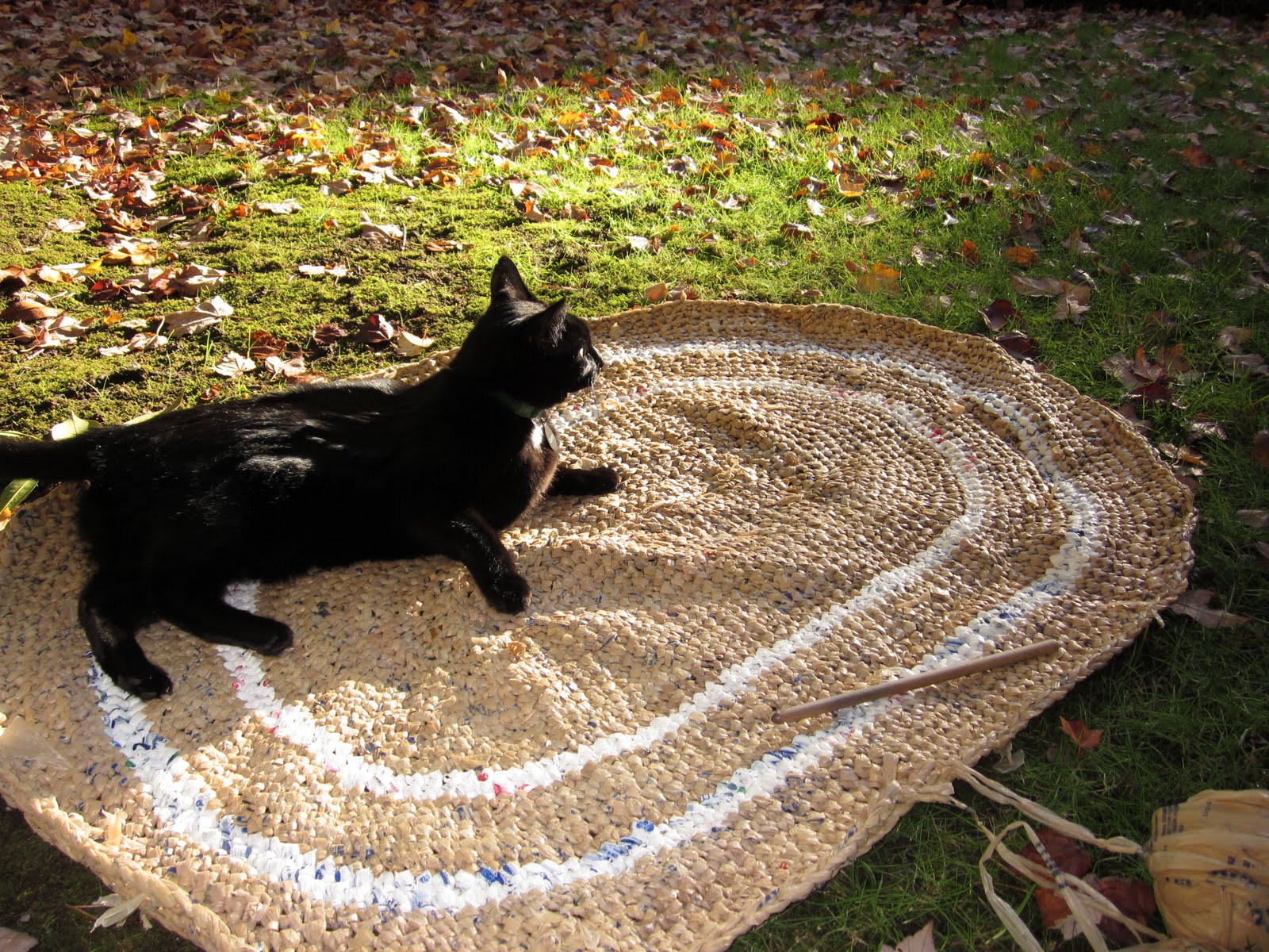 Seaddle Bags Plastic Bag Rug