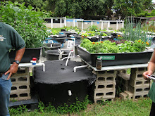 Aquaponics.. OUR GOAL!!