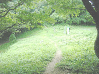 大知波峠