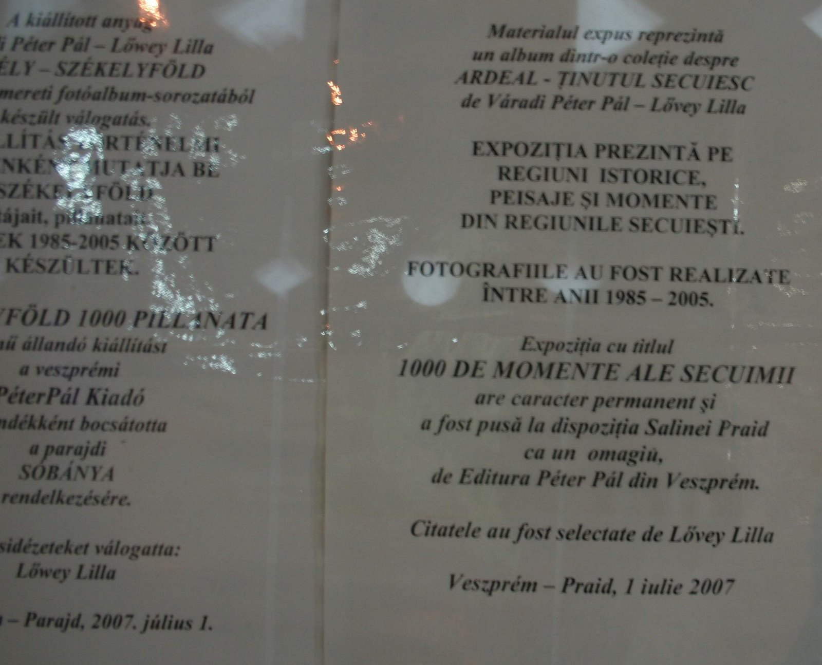 [Prezentare+expo.jpg]