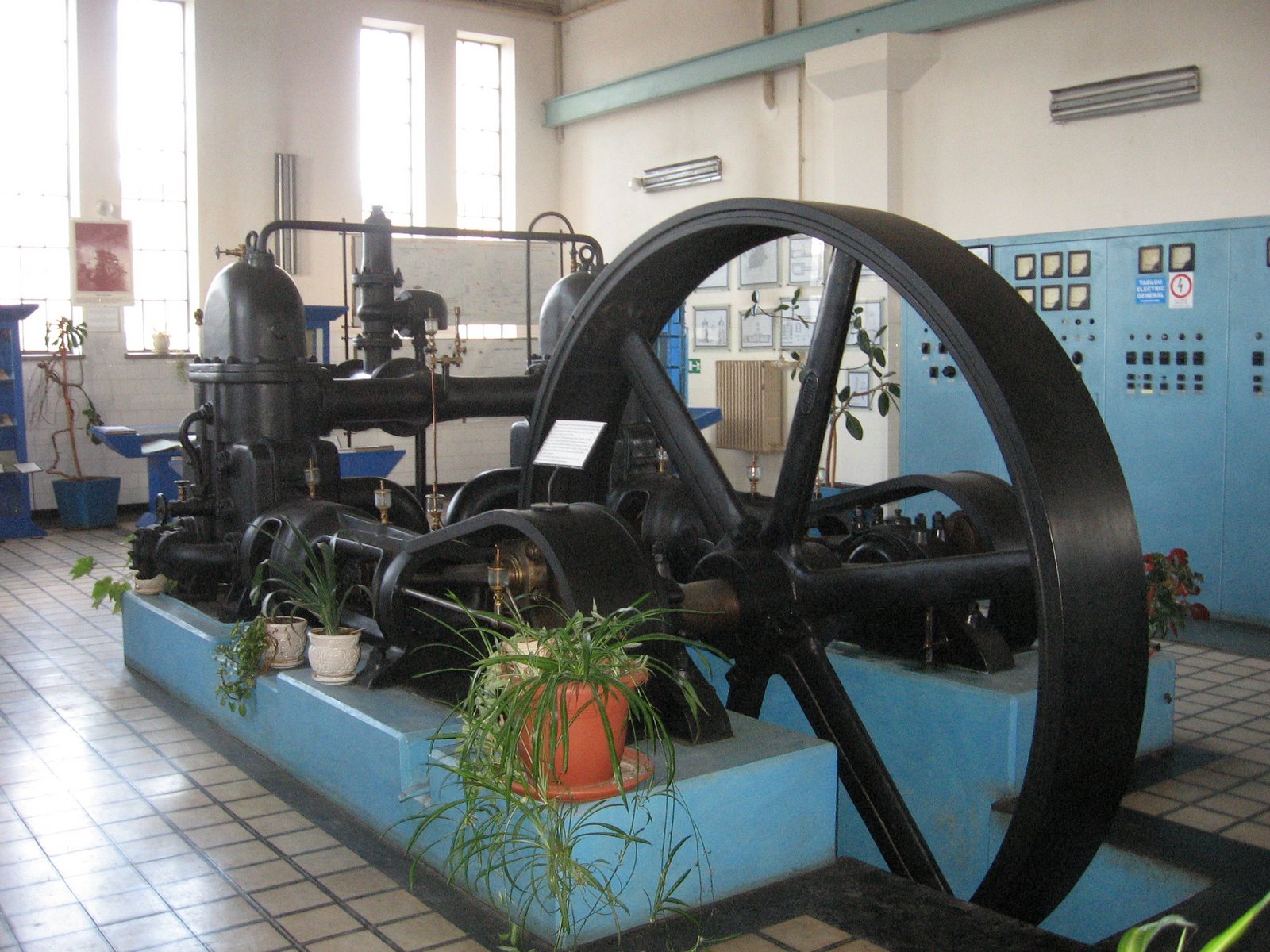 [IMG_3581.jpg]