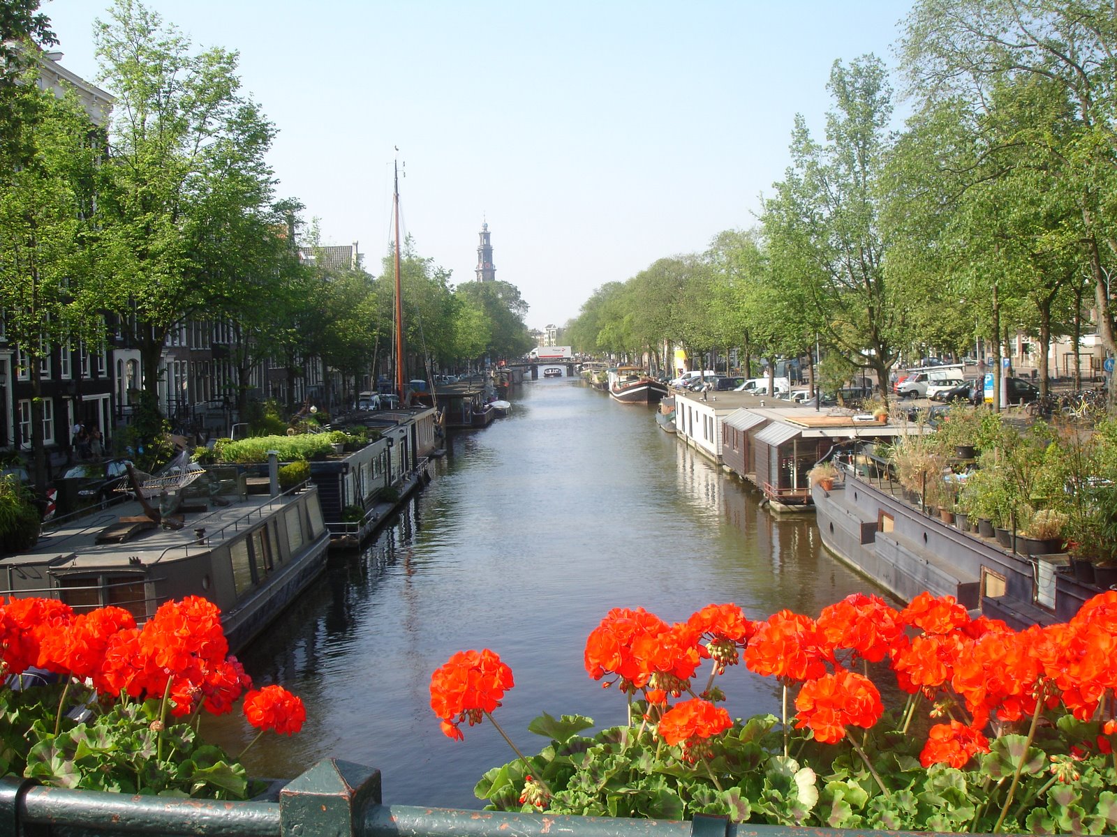 [DSC09005.JPG]
