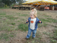 pumpkin patch