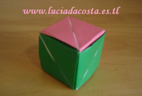 [CCCuboRosacerrado.JPG]