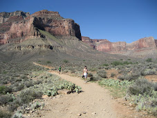 Plateau Point trail