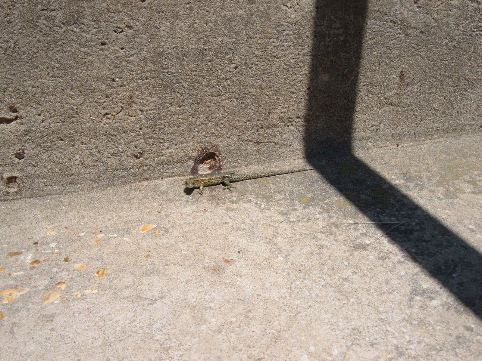 [DSCF0609.JPG]