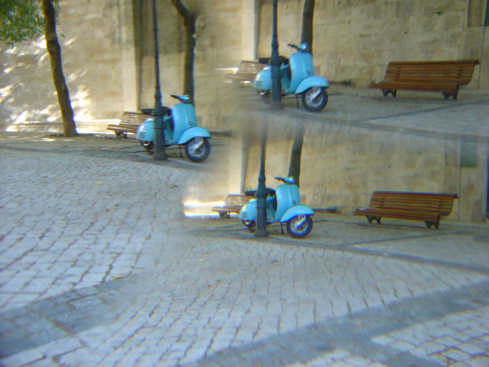 [DSC06392.JPG]
