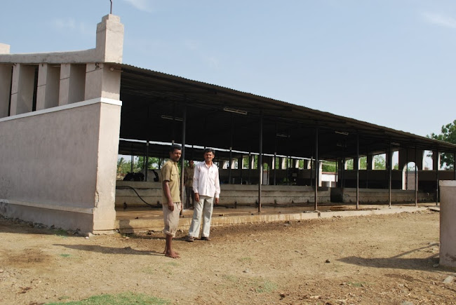 Dairy building (19)