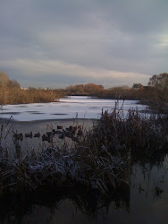 Berwick in Winter