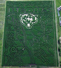 Biggest Corn Maze