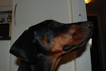 Min bilder