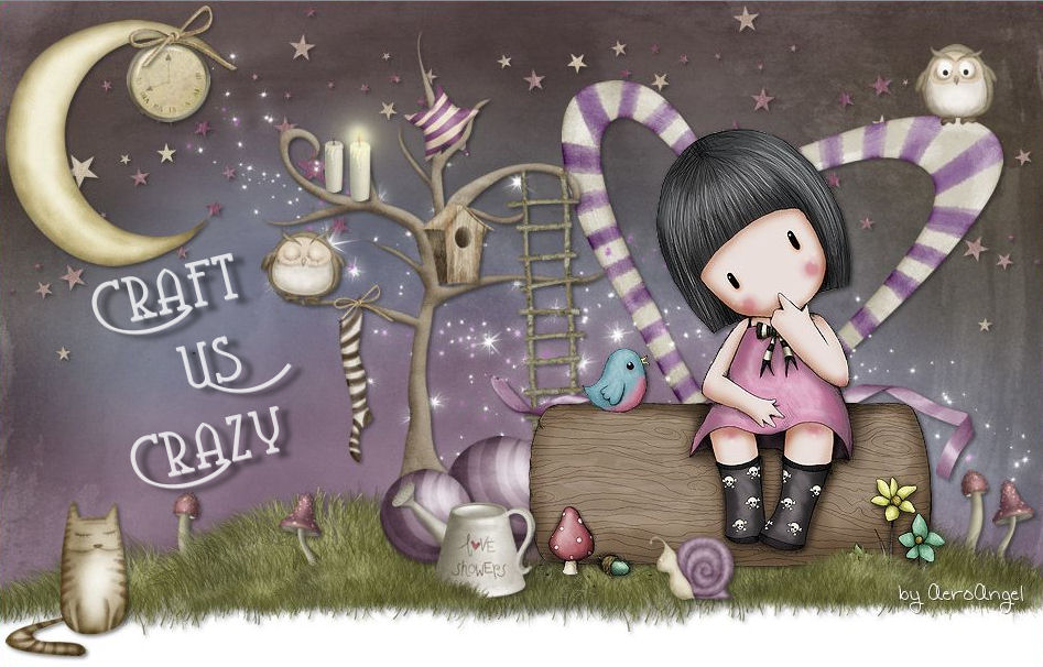 ~Craft Us Crazy~
