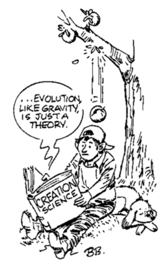 [evolution_just_a_theory.gif]