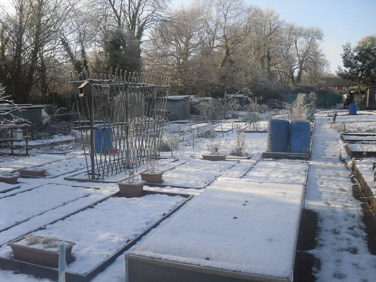 The Winter Allotment