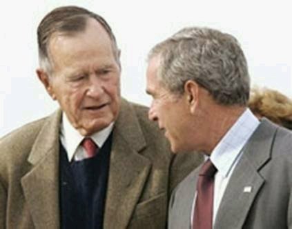 [bushes.bmp]