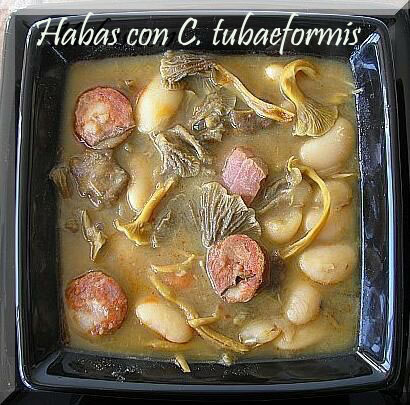 Habas Con Cantharellus Tubaeformis