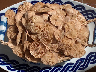 Novedades En El Blog.