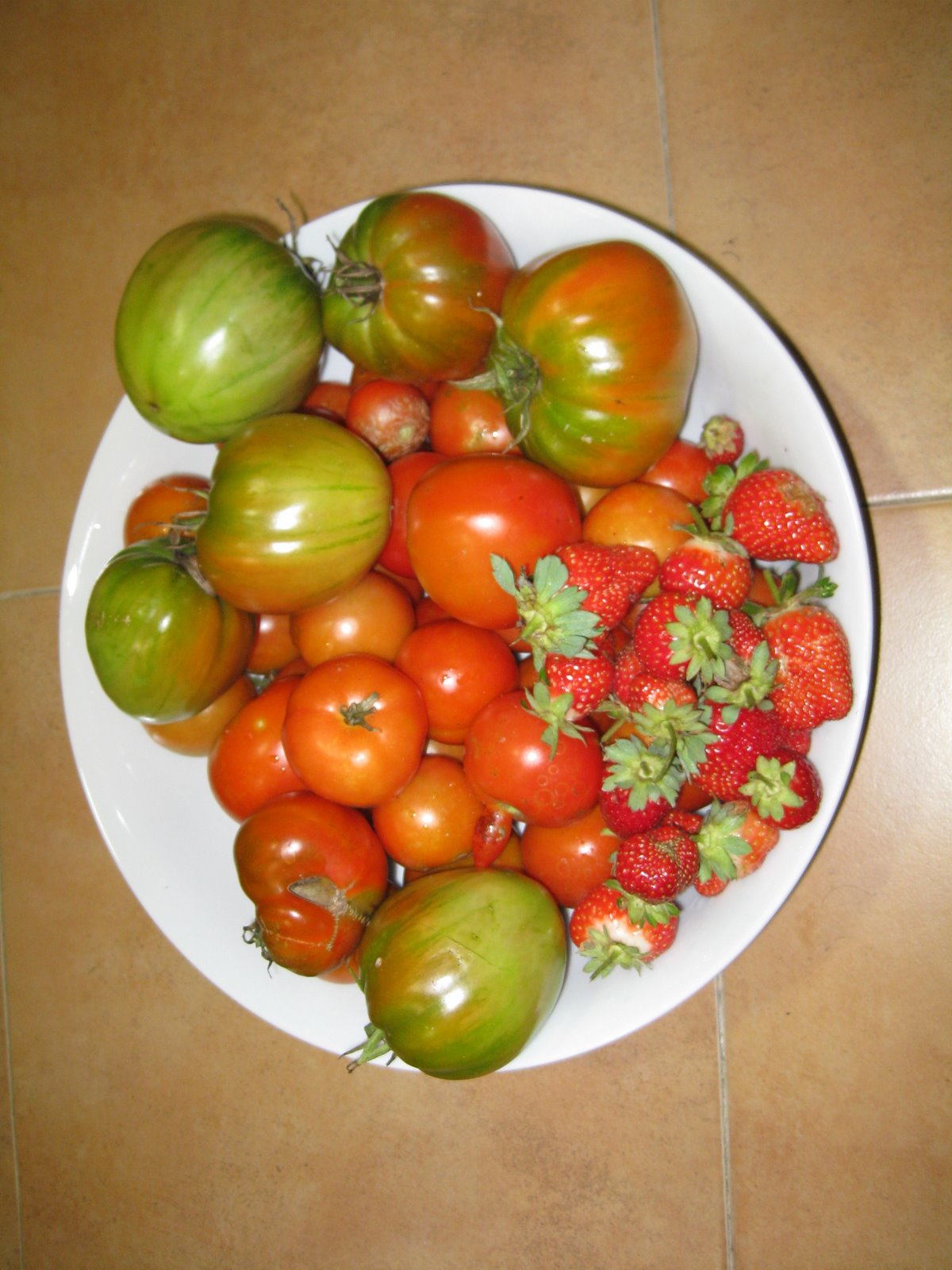 [20081006+014.jpg]