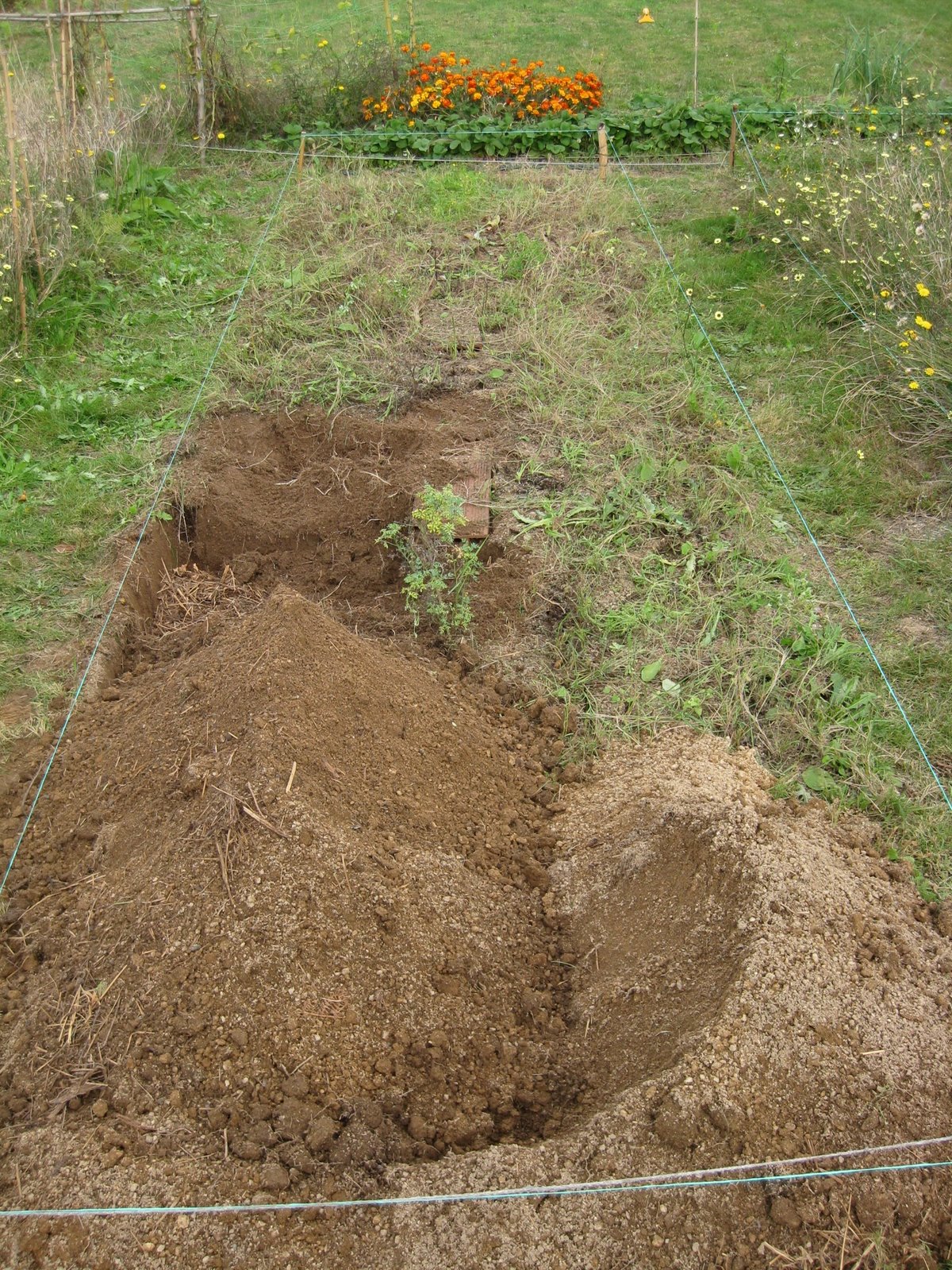 [20081011+019.jpg]