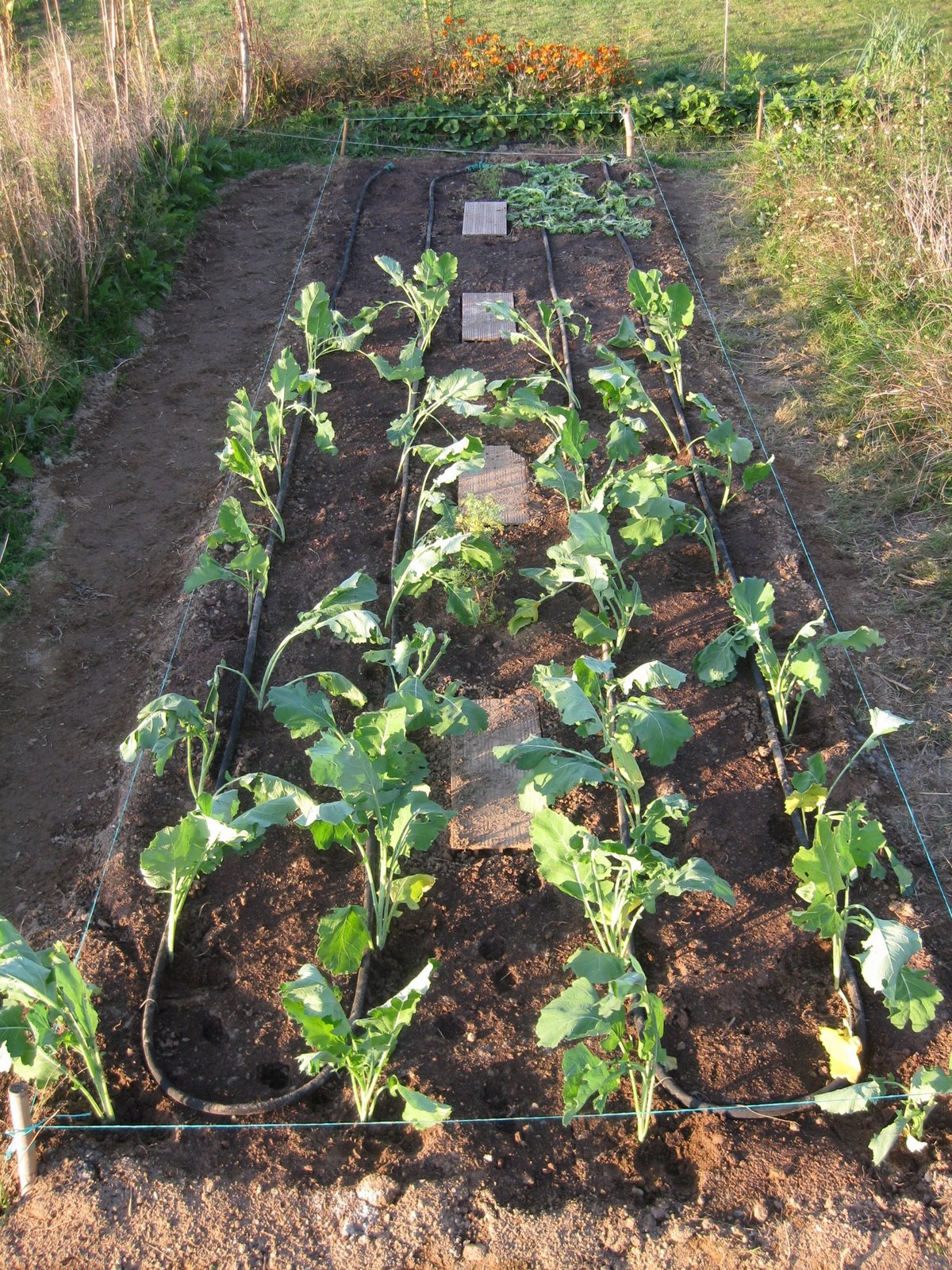 [20081028+001.jpg]